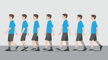 Animation of a man in blue shirt walking in side view showing the step cycle sequence vector