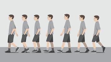 Animation of a man in grey shirt and short pants with one hand in pocket walking in side view showing the step cycle sequence vector