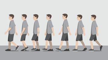 Animation of a man in open shirt walking in side view showing the step cycle sequence vector