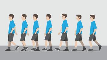 Animation of a man in blue shirt and short pants with one hand in pocket walking in side view showing the step cycle sequence vector