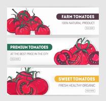Bundle of horizontal web banner templates with sliced and whole red tomatoes and place for text. Modern illustration for premium farm vegetables or healthy veggie products promo, advertisement vector