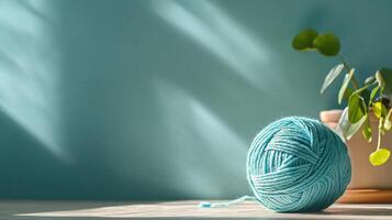 pale blue wool yarn ball sits on table with soft shadows and potted plant photo