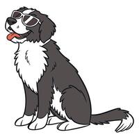 Cartoon Bernese Mountain Dog with Aviator Sunglasses in Playful Sitting Pose vector