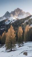 A snowy mountain landscape with trees and snow photo
