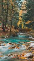 A river flowing through a forest in the fall photo