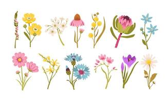 Spring flowers set. Wildflowers and botanical elements for scrapbooking and wedding invitations. Flat illustration of spring blossoms, chamomile, dandelions, and crocus flowers. vector
