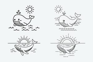 Whale illustration and line art whale design bundle vector