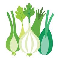 A group of green onions on a white background vector