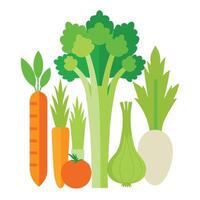 Vegetables and fruits on a white background vector