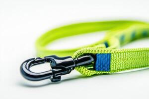 Stylish green dog leash displayed on a clean white background perfect for pet enthusiasts and professional use photo