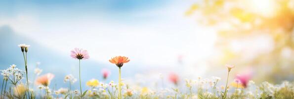Captivating sunset over a tranquil meadow adorned with vibrant flowers reflecting natures glow photo