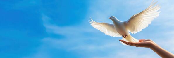 Bird soaring into the vast blue sky symbolizes freedom and liberation in a minimalistic setting photo