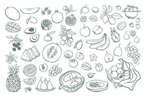 Hand drawn different fruits set. Vegan food collection in sketch style vector