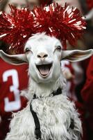 Cheering confidently from the sidelines, a spirited goat rallies its squad in a humorous cheerleading moment photo