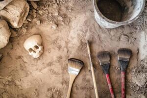 Exploring ancient history with detailed archaeological tools and artifacts at an excavation site photo