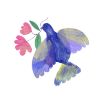 A pigeon flies and holds a flower in its beak. The dove is a symbol of peace. Watercolor illustration using the texture of colored pencils png