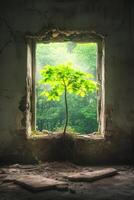 Nature reclaims space as a vibrant tree grows through an abandoned window in a forgotten urban ruin photo