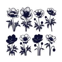 An image of a set of poppies vector