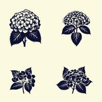 Four different types of flowers are shown in this image vector