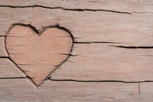 Textured redwood bark displaying a heart carved into its surface photo