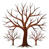 a tree with no leaves on it vector