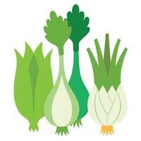 A group of green onions on a white background vector
