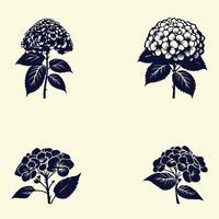 Four different types of flowers are shown in black and white vector