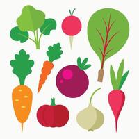 Vegetables and fruits set on white background vector