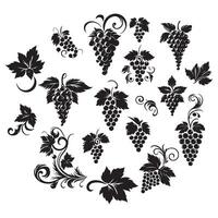grape black and white illustration design on a white background vector