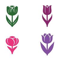 Four different tulips are shown in different colors vector