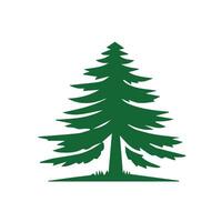A pine tree with a green leaf on it vector