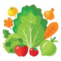 Vegetables and fruits on a white background vector