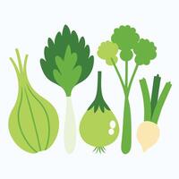A group of vegetables are shown on a white background vector