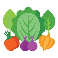 Vegetables and fruits on a white background vector
