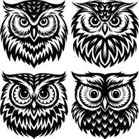 Intricate Black and White Owl Tattoo Design with Detailed Feathers and Sharp Eyes vector