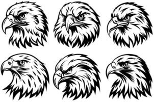 Realistic Bald Eagle Head Illustration with Detailed Feathers and Fierce Expression vector