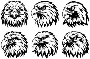 Wild Eagle Head with Intense Focus and Realistic Feathers in Stunning Detail vector