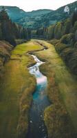 A river in the middle of a green valley photo