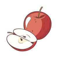 Red Apple with a Half Cut Showing Juicy and Fresh Interior in a Simple Style vector