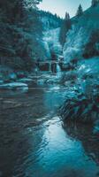 A river in the woods with trees and rocks photo