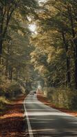 Autumn road with car driving on it photo