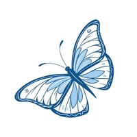 Blue Butterfly with Intricate Wings in a Realistic Hand-Drawn Style vector