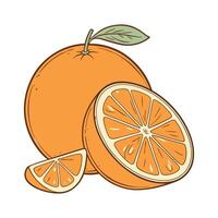 Whole and Sliced Oranges with a Detailed and Fresh Appearance for Healthy Living vector