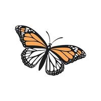 Detailed Monarch Butterfly with Black and Orange Wings in Side View vector