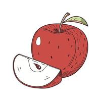 Fresh Red Apple with a Sliced Half Showing Juicy Interior and Seeds vector