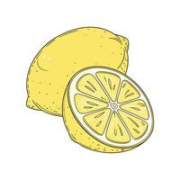Fresh Lemon Half and Slice with Juicy Details and Natural Texture vector