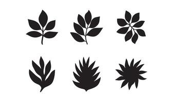 Various Leaf and Botanical Silhouettes for Natural Design Elements vector