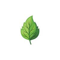 Simple and Modern Leaf Illustration Design on White Background vector