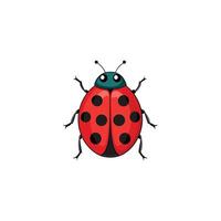 Tiny Wonder Elegant Ladybug Illustration on White Background vector