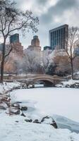 A city skyline in the background with a frozen lake and trees photo